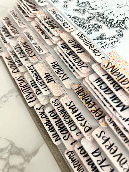 Blush Boho Bible Tabs, Bible Index Tabs, Bible Tab Stickers