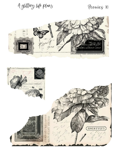 Peonies Layering Large Deco Stickers for Planners and Journals