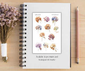 Dried Hydrangeas Deco Stickers