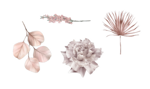 Translucent Florals Vellum Die cuts
