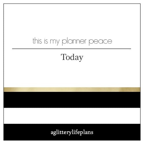 This is my Planner Peace (Today) Pocket Card